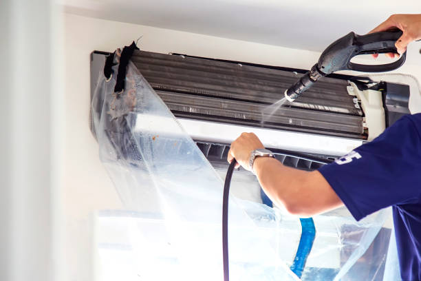 Best Dryer Vent Cleaning Services  in Zumbrota, MN