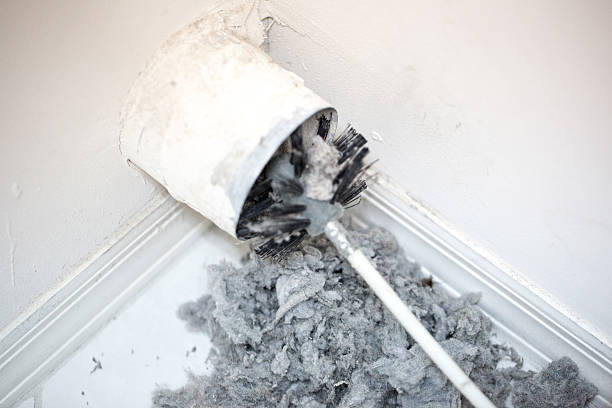 Best Local Air Duct Cleaning Services  in Zumbrota, MN