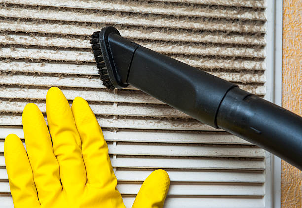 Best Ductwork Cleaning Services  in Zumbrota, MN